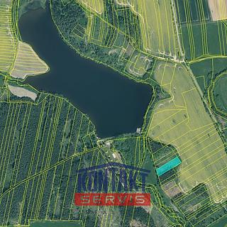 Prodej lesa 2934 m² Sepekov