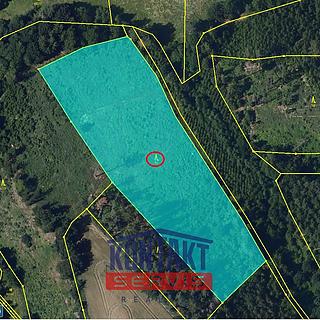 Prodej lesa 13 839 m² Okrouhlice Vadín