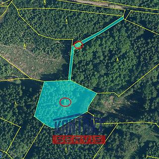 Prodej lesa 4 325 m² Kasejovice Chloumek