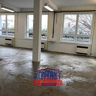 Pronájem skladu 115 m&sup2; České Budějovice