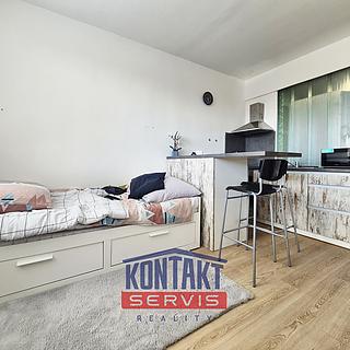 Pronájem bytu 1+kk a garsoniéry 21 m² České Budějovice 3, Puklicova