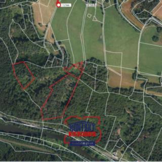 Prodej lesa 23 153 m² Železný Brod Bzí