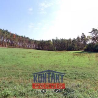 Prodej zemědělské půdy 15 512 m² Mladotice Strážiště