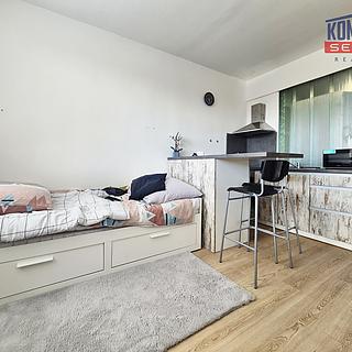 Pronájem bytu 1+kk, garsoniery 21 m&sup2; České Budějovice