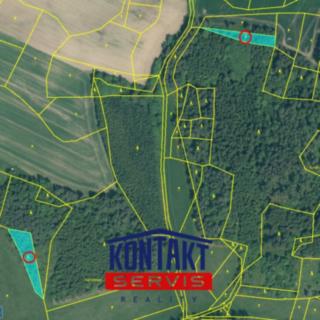 Prodej lesa 2 819 m² Čepřovice