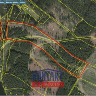 Prodej lesa 43 683 m² Střížovice Vlčice
