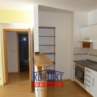 Pronájem bytu 1+kk a garsoniéry 47 m² České Budějovice 3