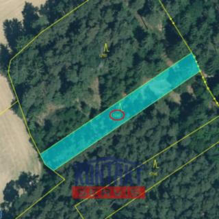 Prodej lesa 22 768 m² Křelovice Rozněvice
