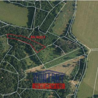 Prodej lesa 2562 m² Bušanovice