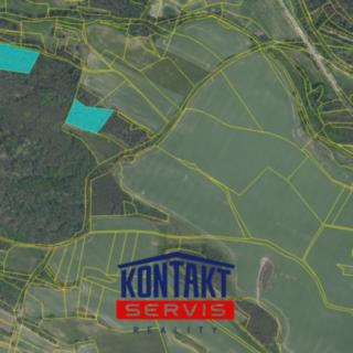 Prodej lesa 29 026 m² Obory