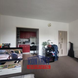 Pronájem bytu 2+1 55 m² České Budějovice