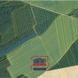 Prodej lesa 14 637 m² Štichovice
