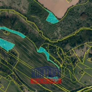 Prodej lesa 11037 m² Pyšel