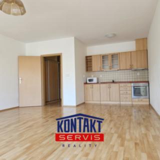 Pronájem bytu 1+kk, garsoniery 47 m² České Budějovice