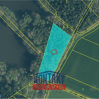 Prodej lesa 4550 m² Suchdol nad Lužnicí