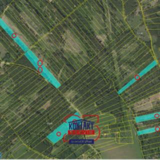 Prodej lesa 70 821 m² Jevíčko