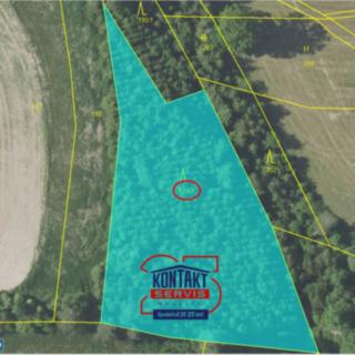 Prodej lesa 3 869 m² Pertoltice Laziště