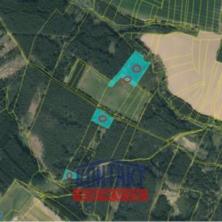 Prodej lesa 23812 m² Bečice