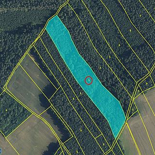 Prodej lesa 18846 m&sup2; Zábřezí-Řečice