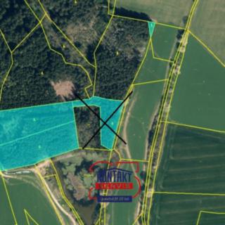 Prodej lesa 52 351 m² Ješetice