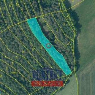 Prodej lesa 2 929 m² Soběnov