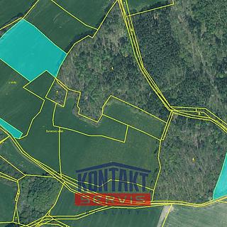 Prodej zemědělské půdy 19 256 m² Příkosice