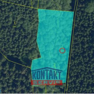 Prodej lesa 3 399 m² Košťálov Kundratice