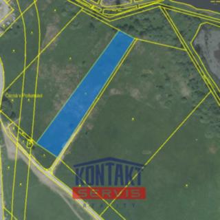 Prodej zemědělské půdy 8 493 m² Černá v Pošumaví