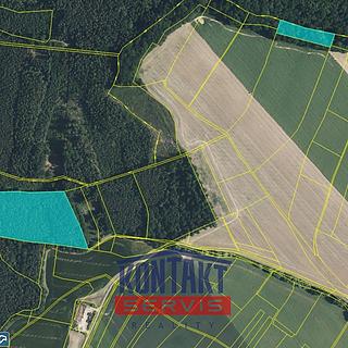 Prodej lesa 32 004 m² Bačalky Lično