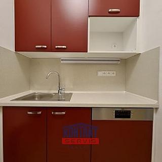 Pronájem bytu 3+1 103 m² České Budějovice 1