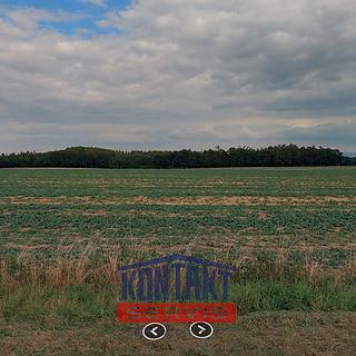 Prodej zemědělské půdy 121476 m² Suchdol