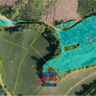 Prodej lesa 13657 m² Lužná
