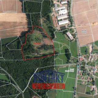Prodej lesa 40 017 m² Ješetice