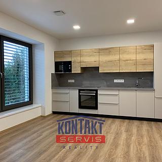 Pronájem bytu 3+kk 65 m² České Budějovice 6, J. Dietricha