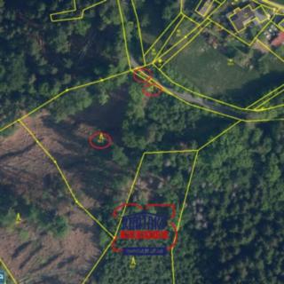 Prodej lesa 6 802 m² Železný Brod Bzí
