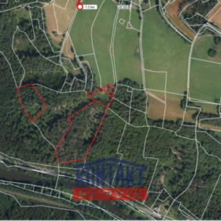 Prodej lesa 23 153 m² Železný Brod Bzí