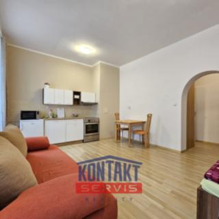 Pronájem bytu 1+kk a garsoniéry 29 m² České Budějovice 3, B. Smetany