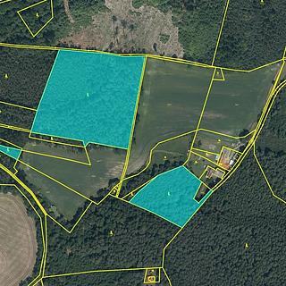 Prodej lesa 23269 m&sup2; Maršovice