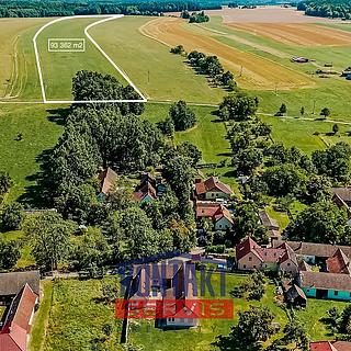 Prodej zemědělské půdy 113 591 m² Jílovice