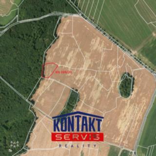 Prodej zemědělské půdy 3363 m² Vísky