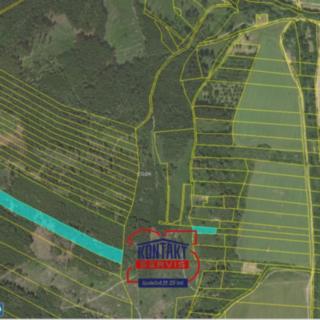 Prodej lesa 17 620 m² Městečko Trnávka