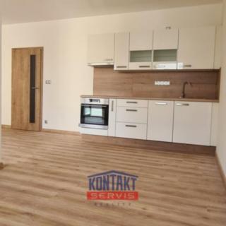 Pronájem bytu 1+kk a garsoniéry 48 m² České Budějovice 2