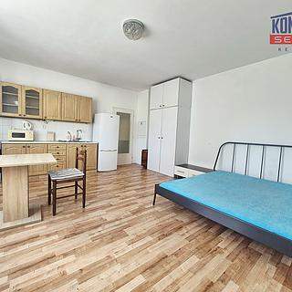 Pronájem bytu 1+kk, garsoniery 34 m&sup2; České Budějovice