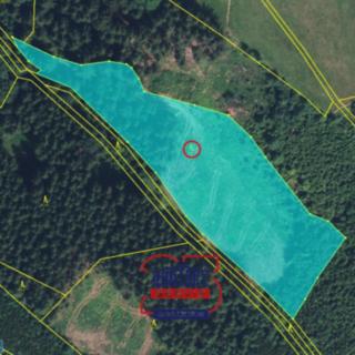 Prodej lesa 10 149 m² Svojek Tample
