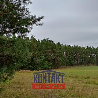 Prodej lesa 32 746 m² Budětice Vlkonice