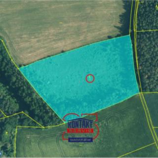 Prodej lesa 13114 m² Němčovice