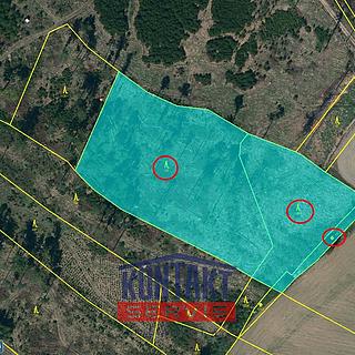 Prodej lesa 12 476 m² Volfířov Řečice