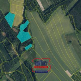 Prodej lesa 30 767 m² Sychrov Radostín