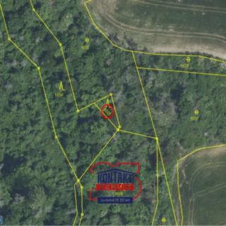 Prodej lesa 9307 m² Křepenice