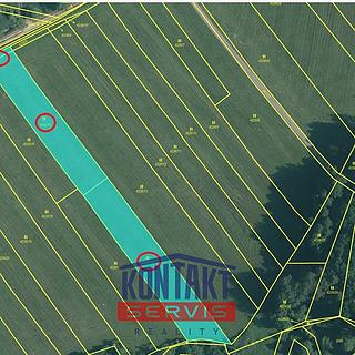 Prodej zemědělské půdy 11 315 m² Veselí nad Lužnicí